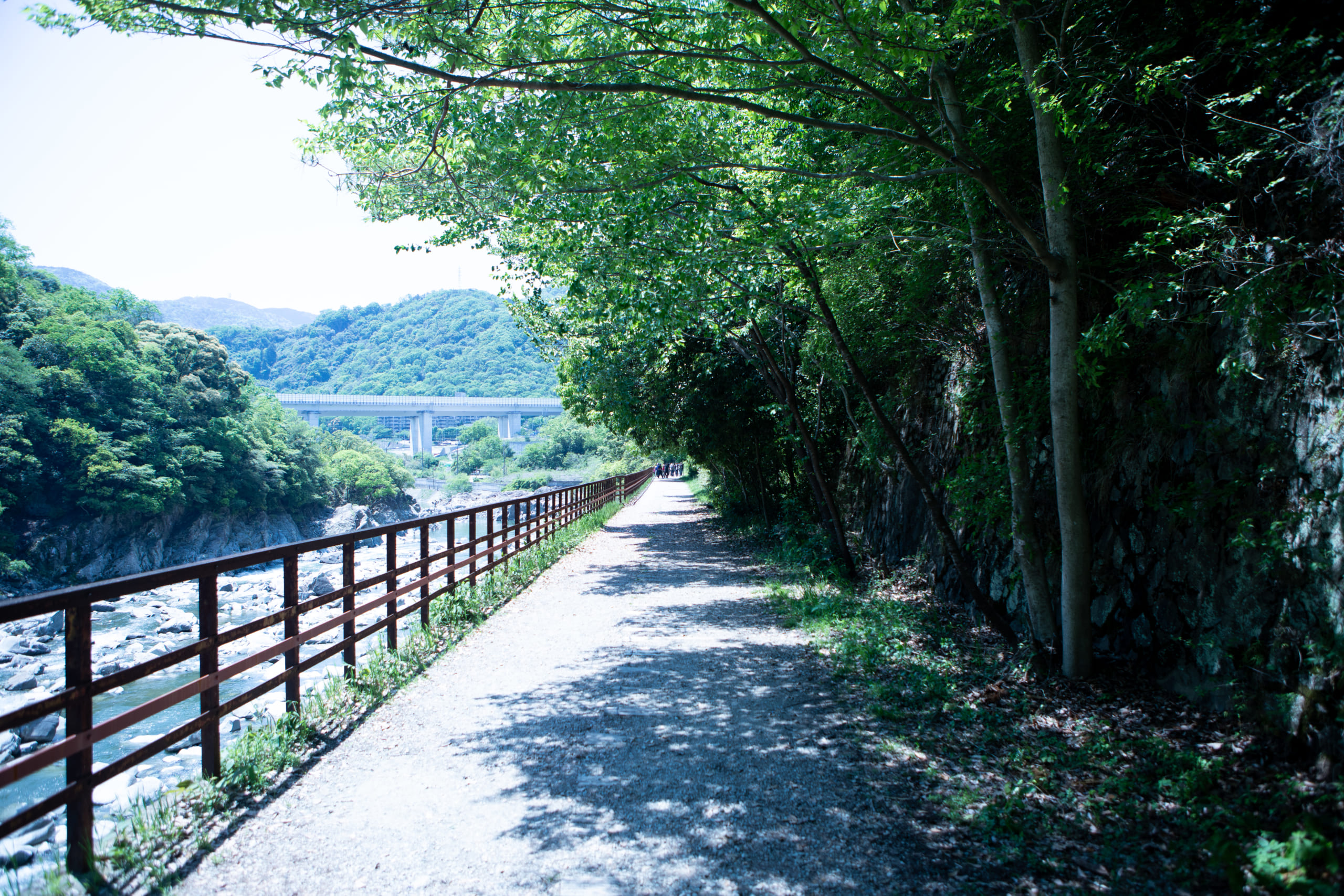 JR福知山線廃線敷