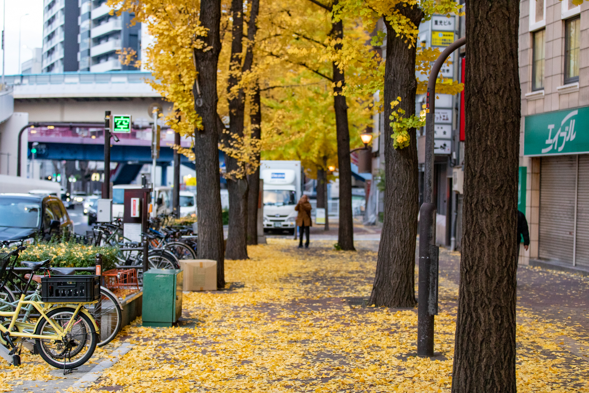 紅葉