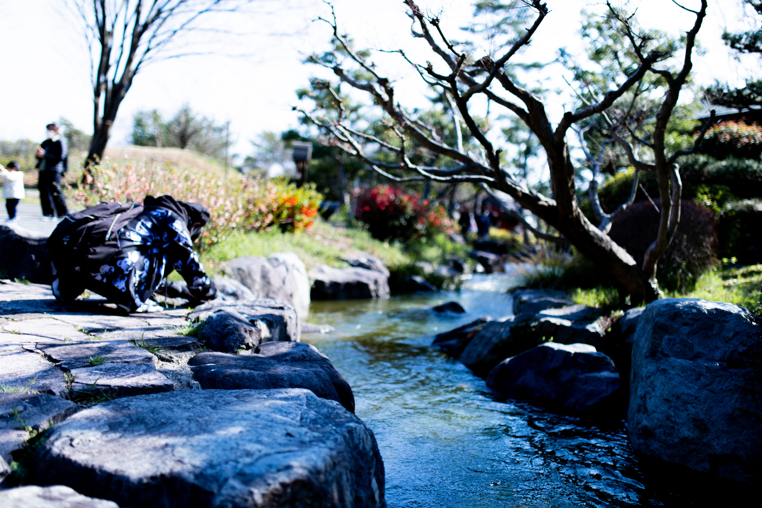 フォトウォーク-鶴見緑地公園